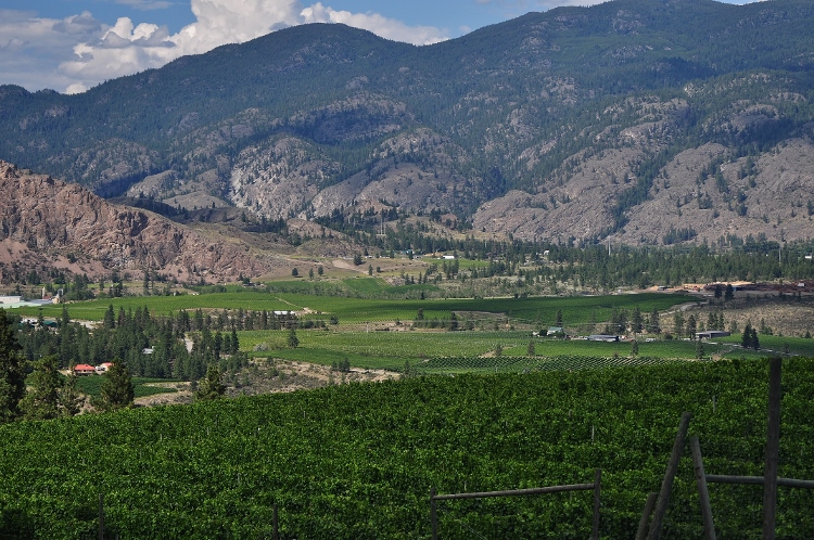 mountain scene